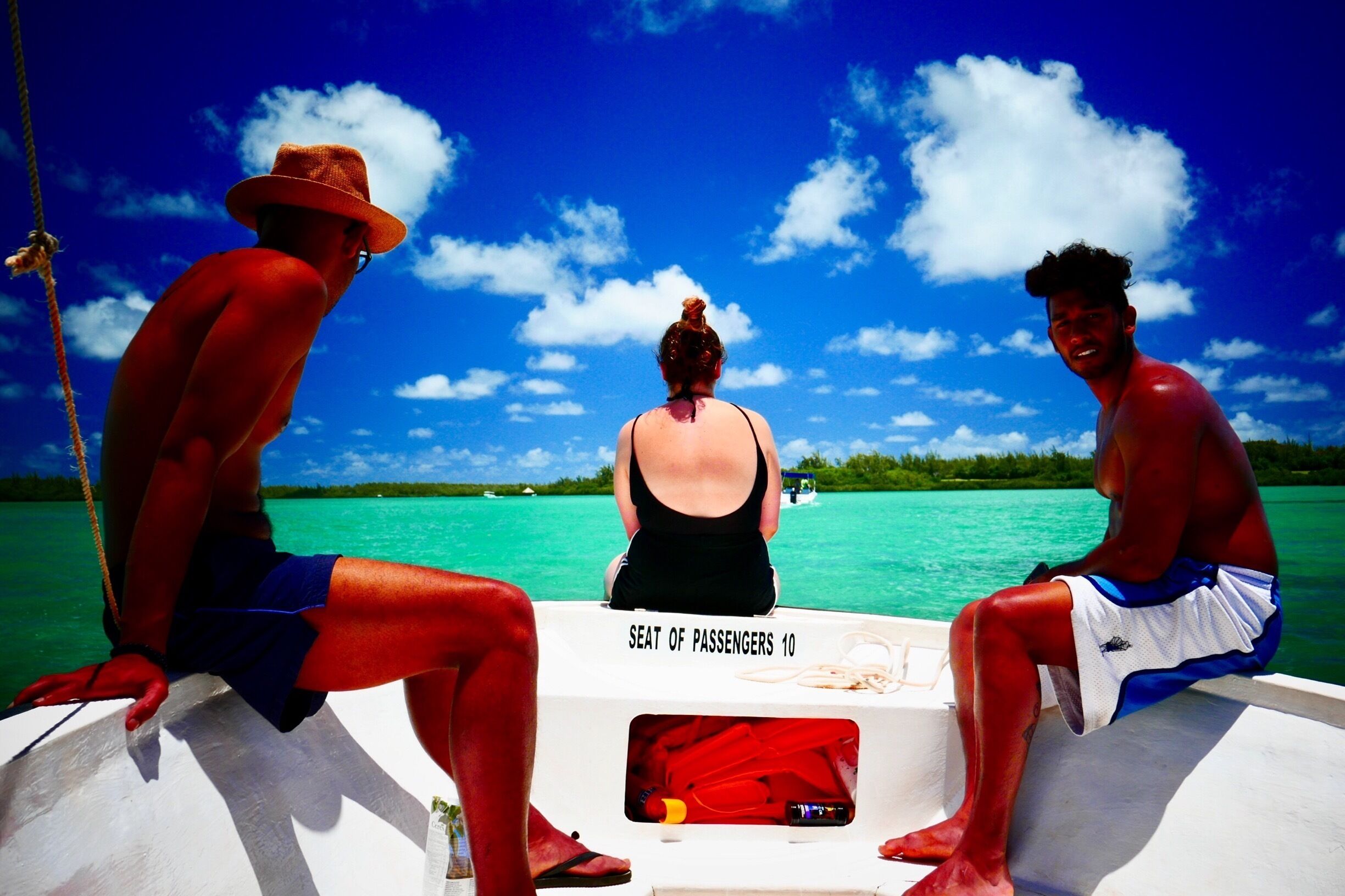 Boat to Ile Aux Cerfs, get your skipper to take you to the waterfall first.