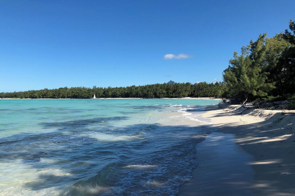 A beach with clear turquoise waters, a sandy shore, and a forested background.