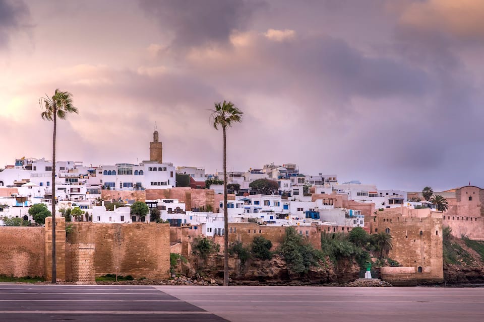 A coastal cityscape with white buildings, palm trees, and a historic fort.
