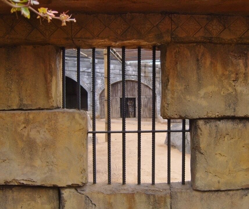 Crocodilo Park is a kind of zoo working for animal protection. First family Balser took care of few crocodiles. Then police of environmental protection SEPRONA (Servicio de Protección de la Naturaleza de la Guardia Civil) have placed many other animals to their care. Some are under bad condition cause of neglegtion or even abuse. Nowadays there are many rescued animals for examble parrots, lizards, birds, monkeys, deers and many more. SERPONA brings maltreated animals impressed from cargo ships. Theres even pets who have grown oversized and owners cant´t or won´t take care of them anymore. This was the case with Bengal tigers.

The entrance fee is surprisingly low and the income goes to keep up the park and the animals.

We spent enjoyable half a day in the park. Loved the giant tortoise who wandered there free. The best part was to feed the four chimpanzee (Judith, Alicia, Koka and África). You can buy bananas from the park restaurant and we did over and over again. Learnt that when the chimp gets a hold of banana you don´t get it back. Their grip is so strong. Please visit the park if you are in Gran Canaria.

Crocodilo Park situates near airport of Gran Canaria. Drive south the highway GC-1 about 14 km, turn right to GC-100 (Cruse de Arinaga)and then road GC-104. There is signs to guide. Park offers free transportation  from nearby holiday resort Maspalomas and Playa del Ingles too. #TroveOnTuesday

Carretera General Los Corralillos, Km 5 | Villa de Agüimes, 35118, Gran Canaria, Espanja http://www.cocodriloparkzoo.com/es/cocodrilopark/