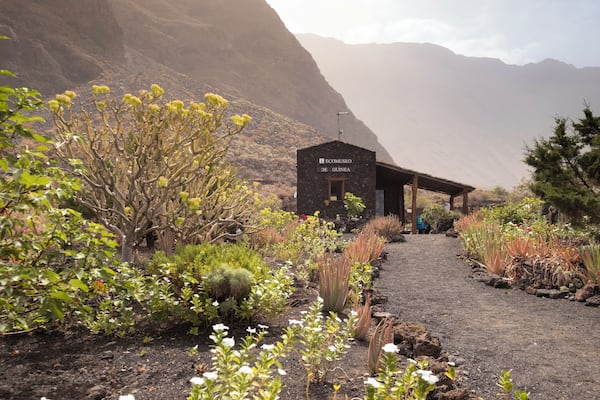 Isora_GuineayLagartarioEcoMuseum_553248621532485329 - 1