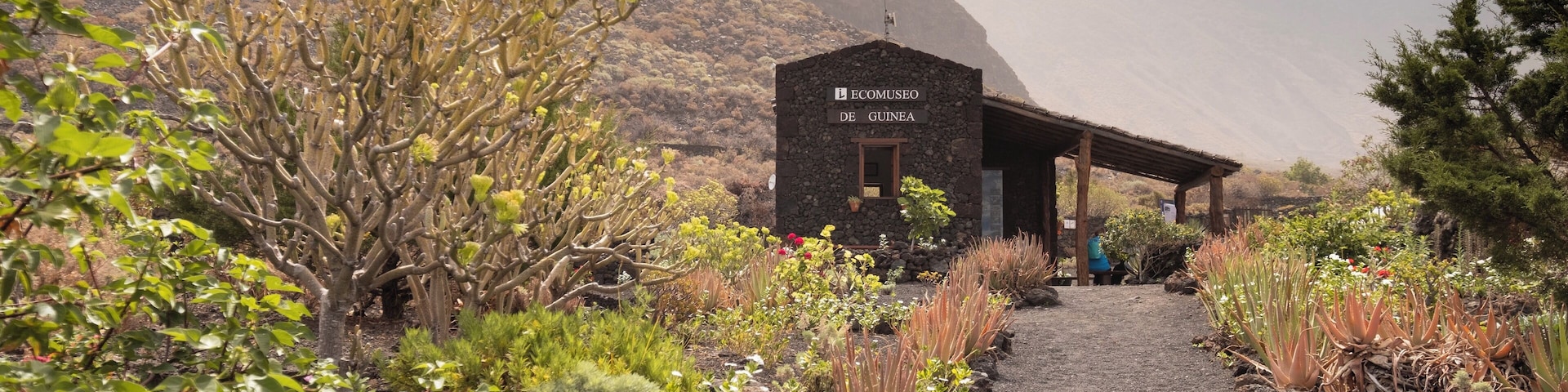 Isora_GuineayLagartarioEcoMuseum_553248621532485329 - 1