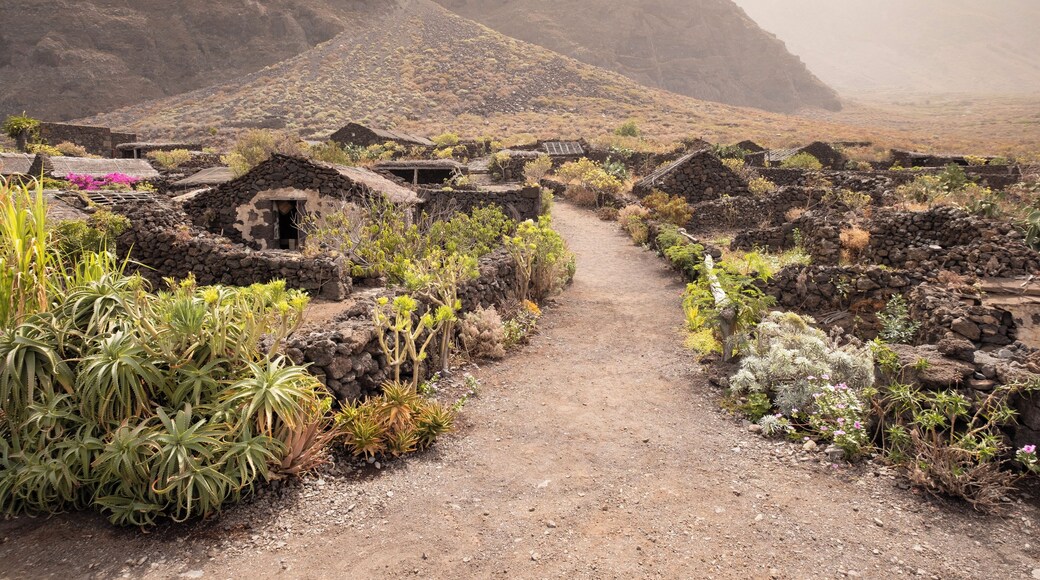 Isora_GuineayLagartarioEcoMuseum_553248621532485329 - 3