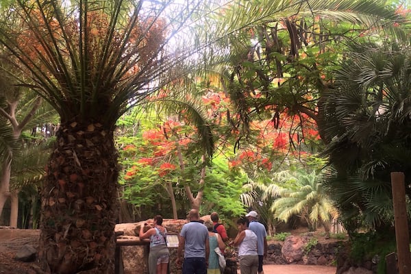 VERY well executed zoo, highly recommend