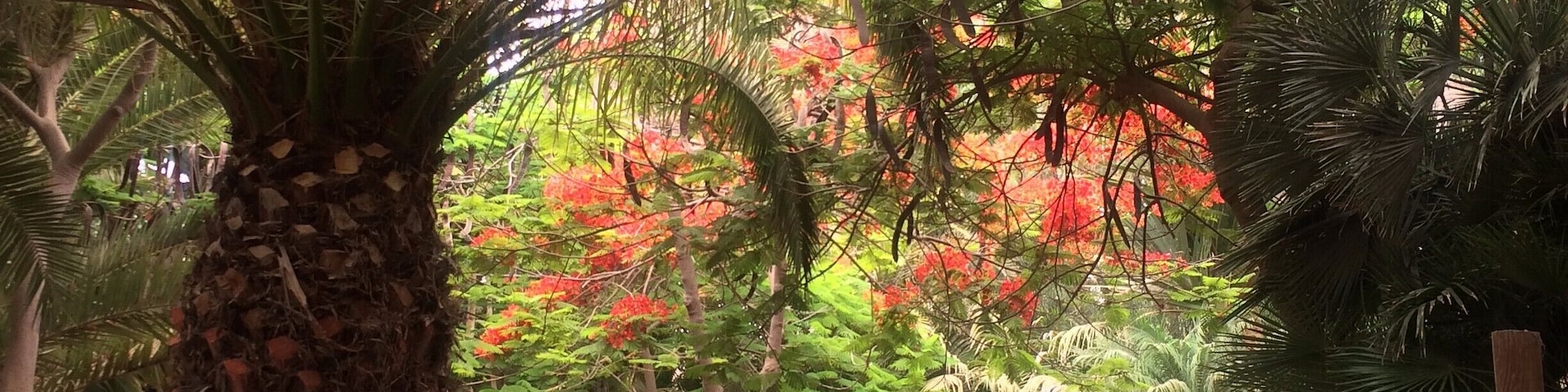 VERY well executed zoo, highly recommend