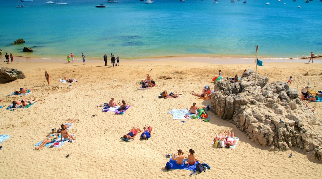 Rainha Beach which includes general coastal views and a sandy beach as well as a small group of people