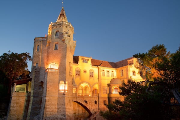 Condes de Castro Guimaraes Museum mettant en vedette patrimoine historique et scènes de nuit