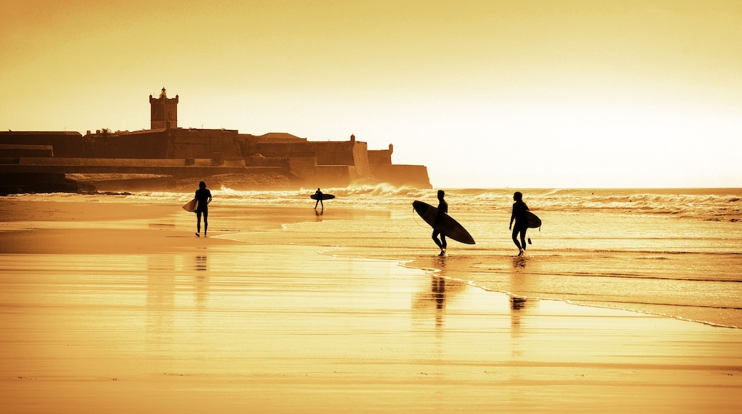 Surfers silhouettes