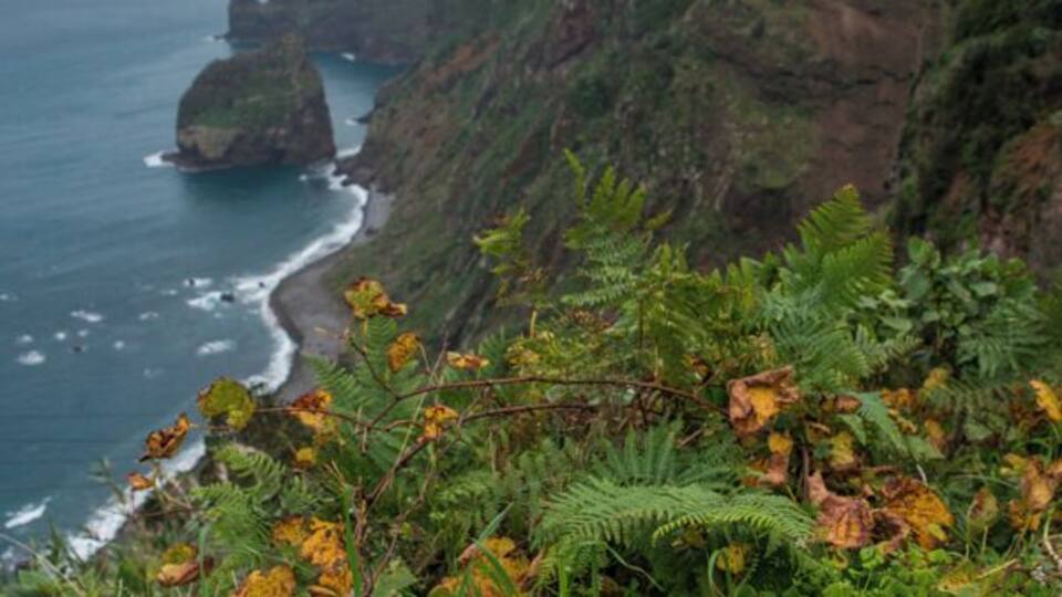 Cable car and Hike back up. 350m