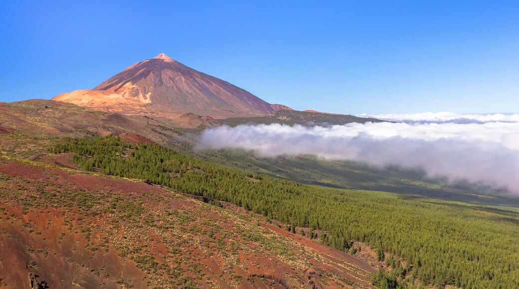El Teide