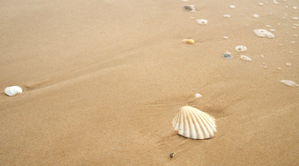 Ilha da Fuzeta featuring a beach and general coastal views