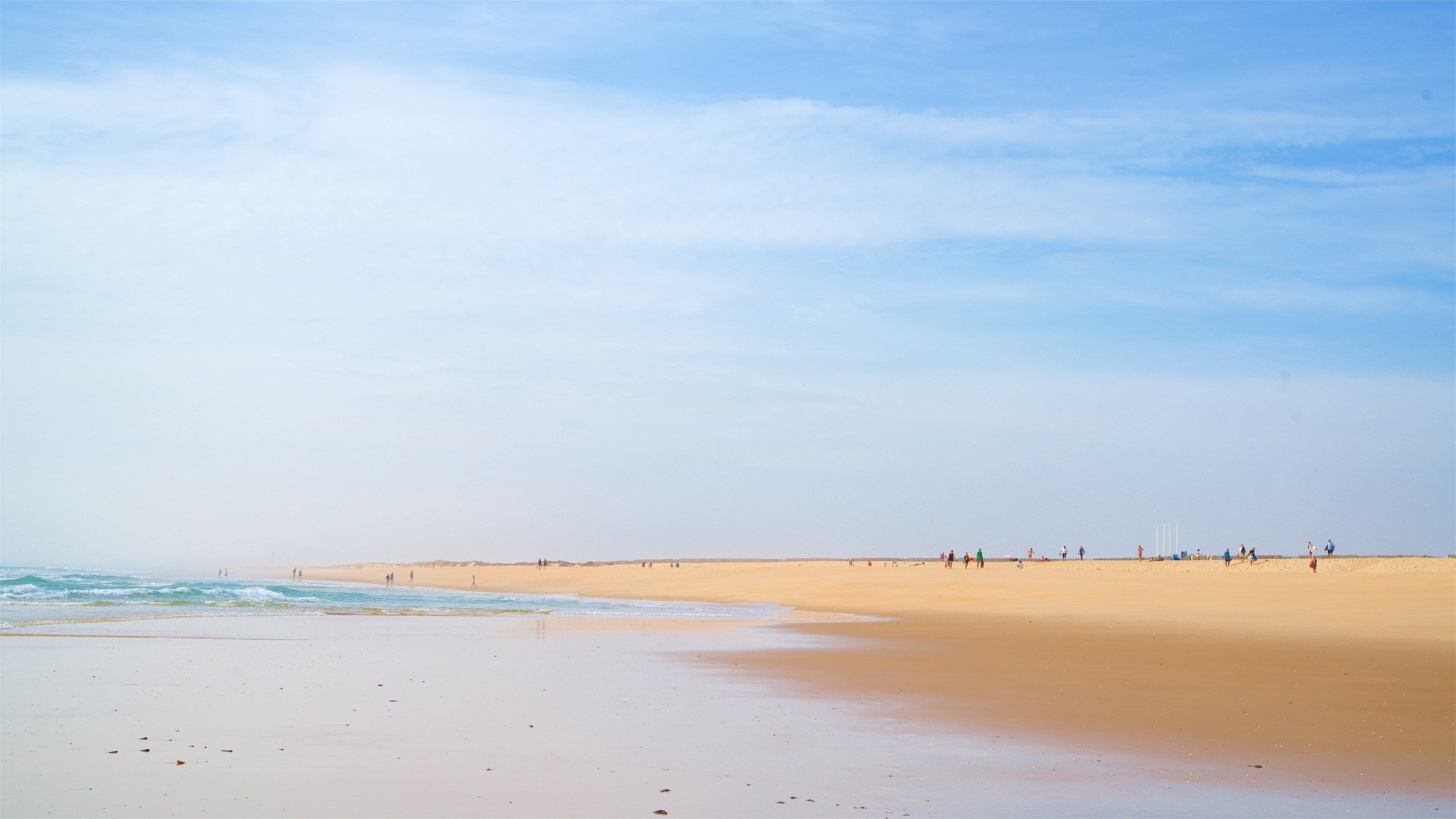 フゼタのビーチ 表示 砂浜 と 海岸線の眺め