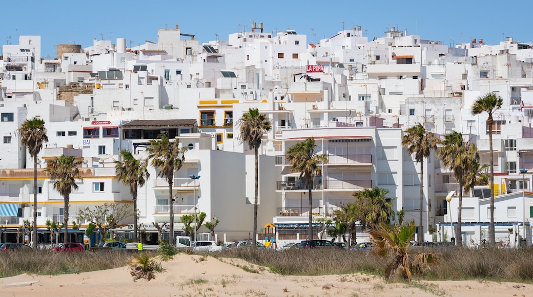 Trafalgar Surf showing a coastal town and a beach