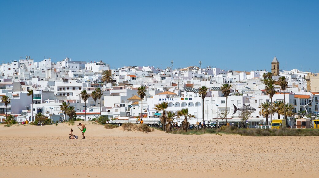 Trafalgar Surf featuring a coastal town and a beach as well as a couple