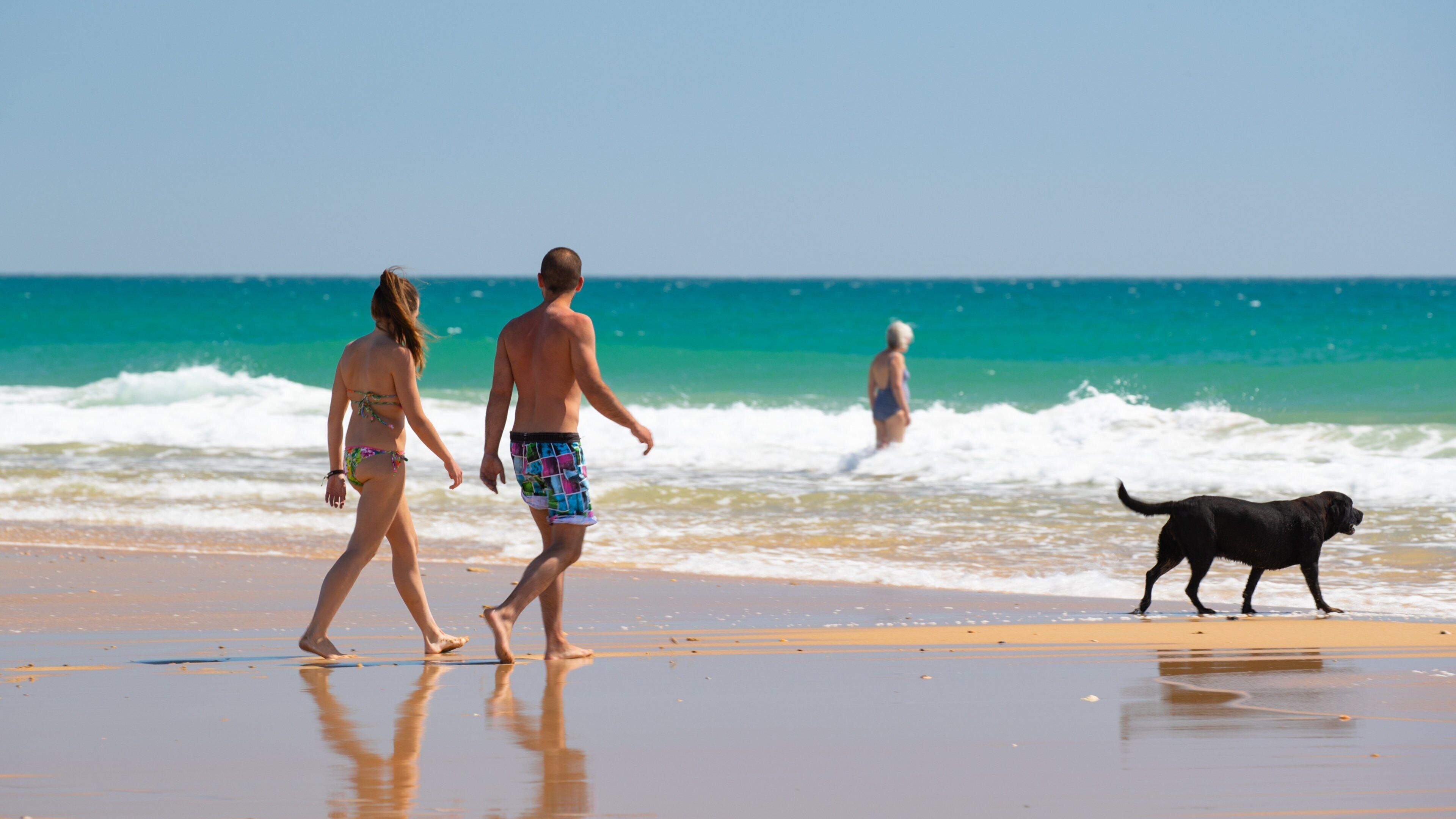 Trafalgar Surf which includes a beach, general coastal views and cuddly or friendly animals