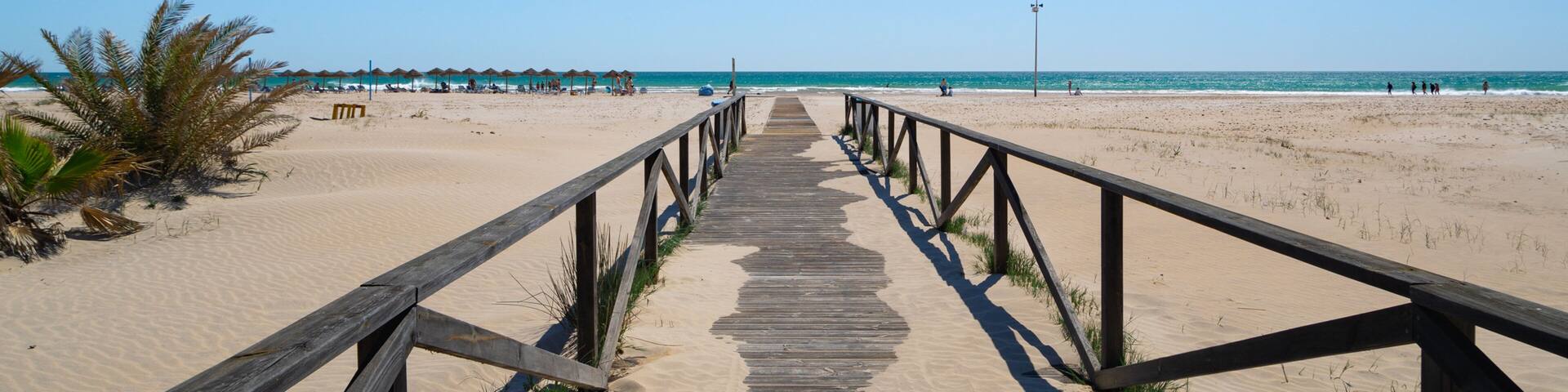 Trafalgar Surf featuring a beach and general coastal views