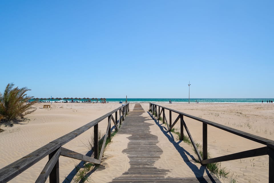 A wooden boardwalk leading to a beach with palm trees and umbrellas.