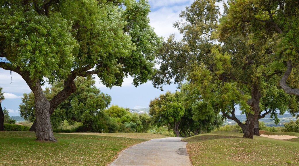 San Roque Golf showing a park