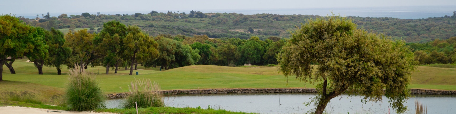 San Roque Golf showing golf and a pond