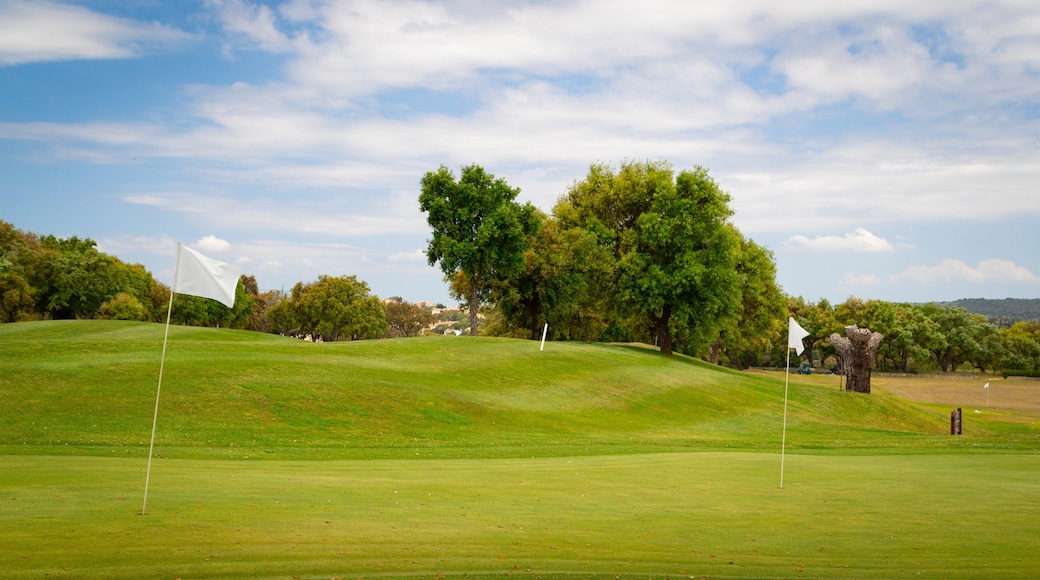 San Roque Golf featuring golf