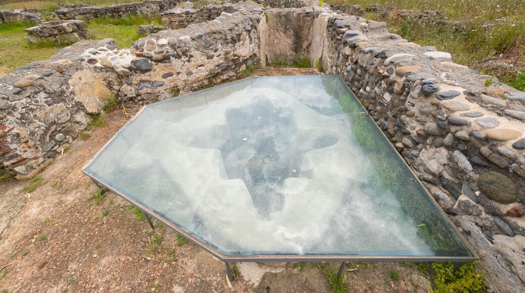 Basilica Vega Del Mar which includes building ruins
