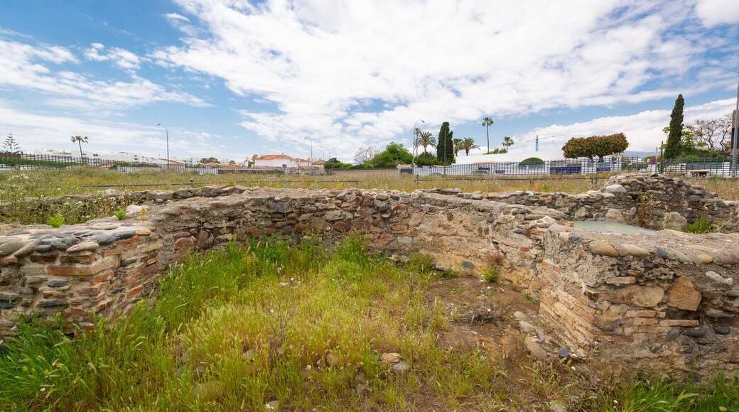 Basilica Vega Del Mar showing a ruin