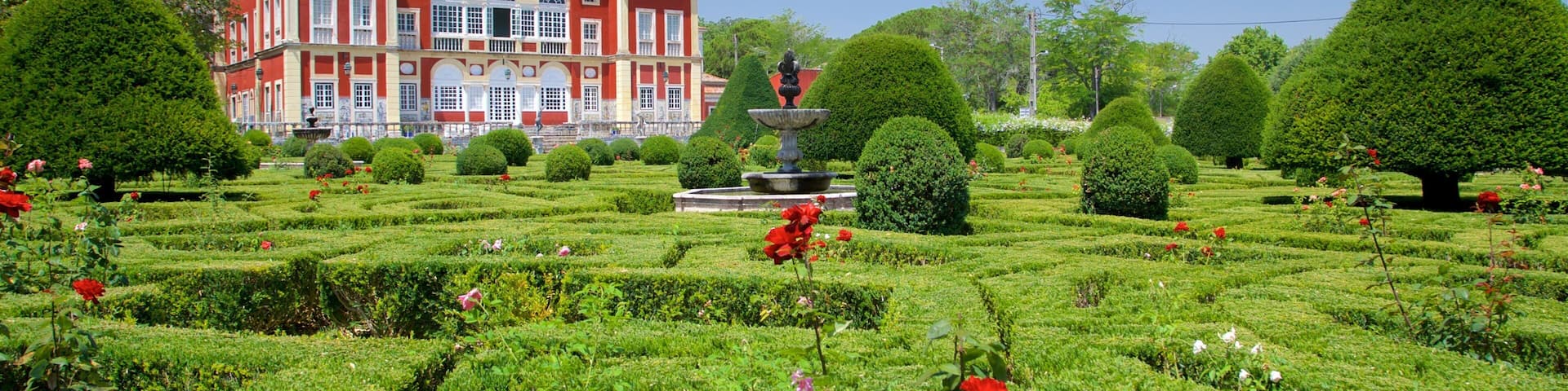 Palais des marquis qui includes fleurs sauvages, maison et patrimoine historique