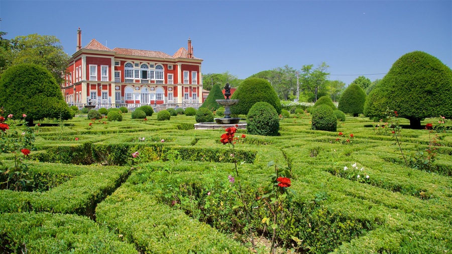 Palace of the Marquises featuring wild flowers, a park and a house