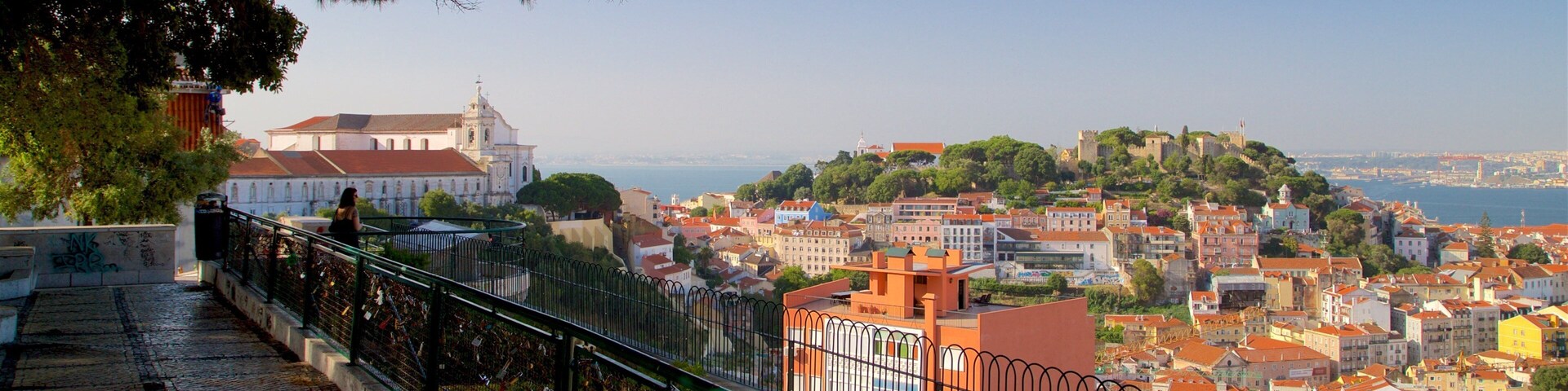 Miradouro da Senhora do Monte mostrando paisagens, paisagem e uma cidade