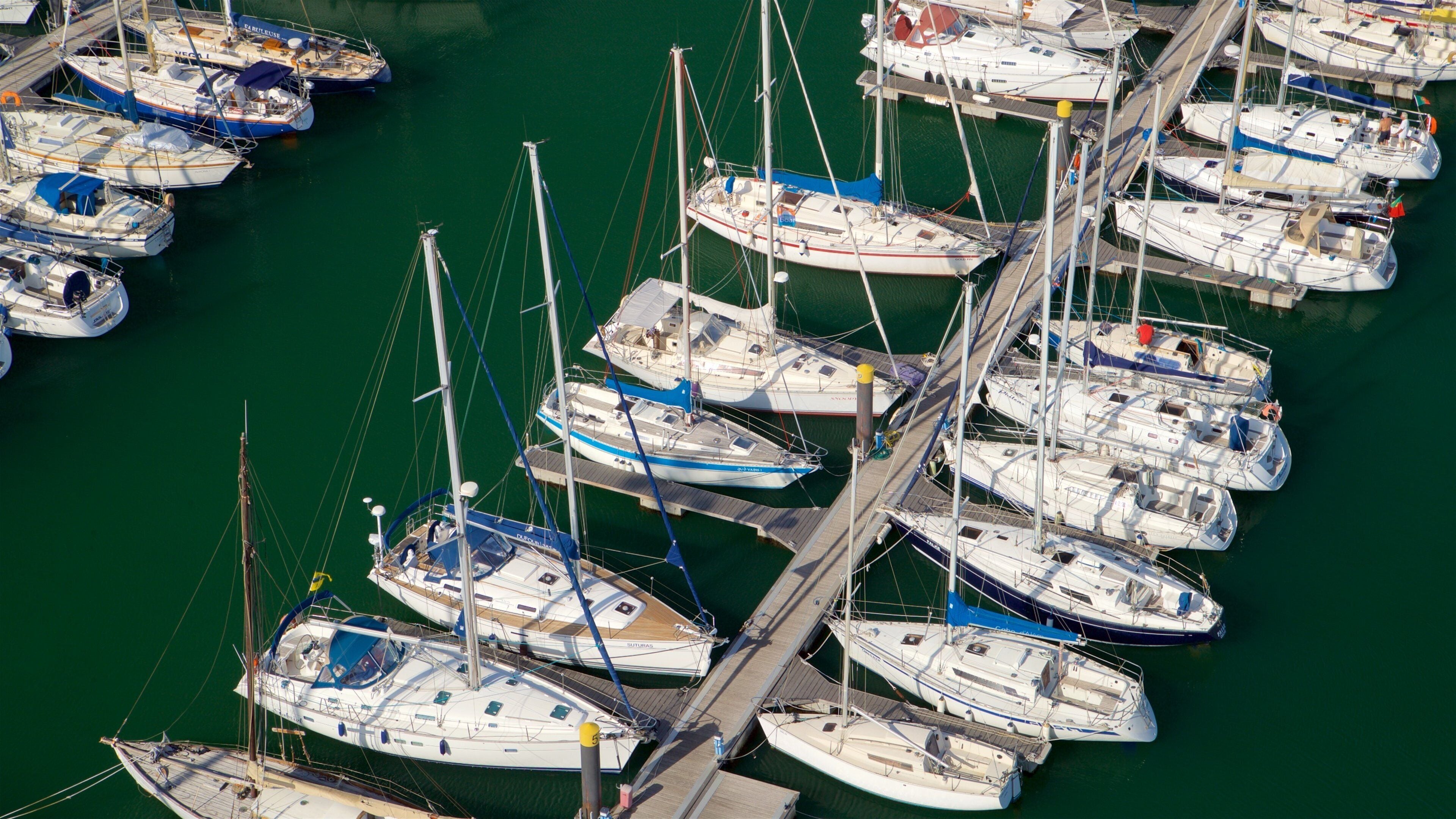 Padrão dos Descobrimentos showing a bay or harbour