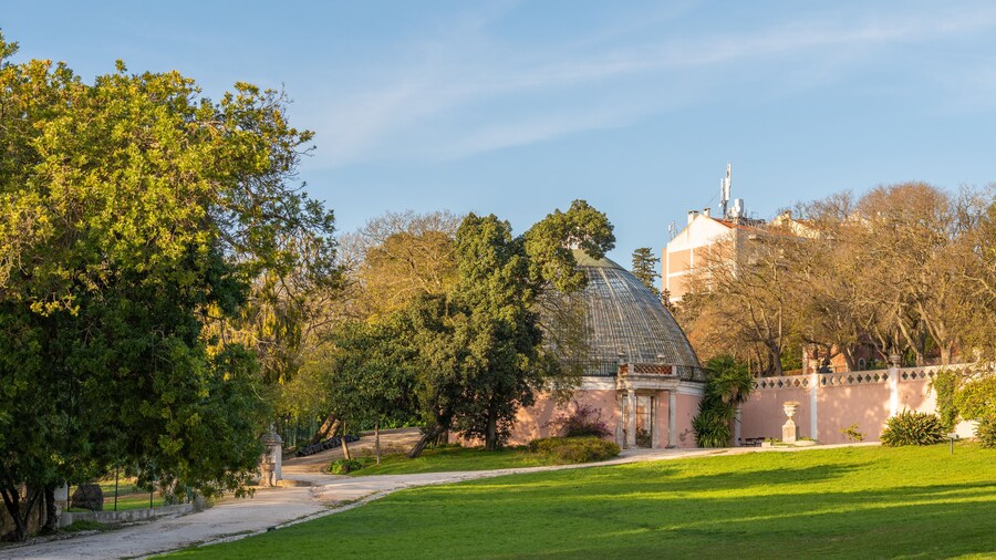 Tapada das Necessidades Park