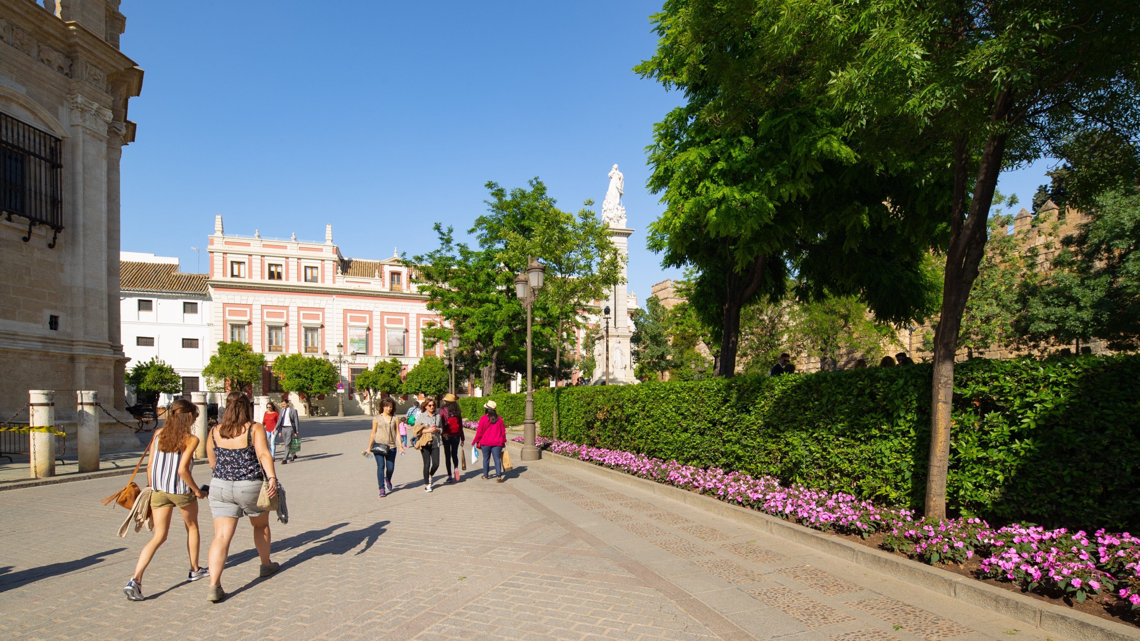 Triunfo Plaza which includes street scenes, flowers and a garden