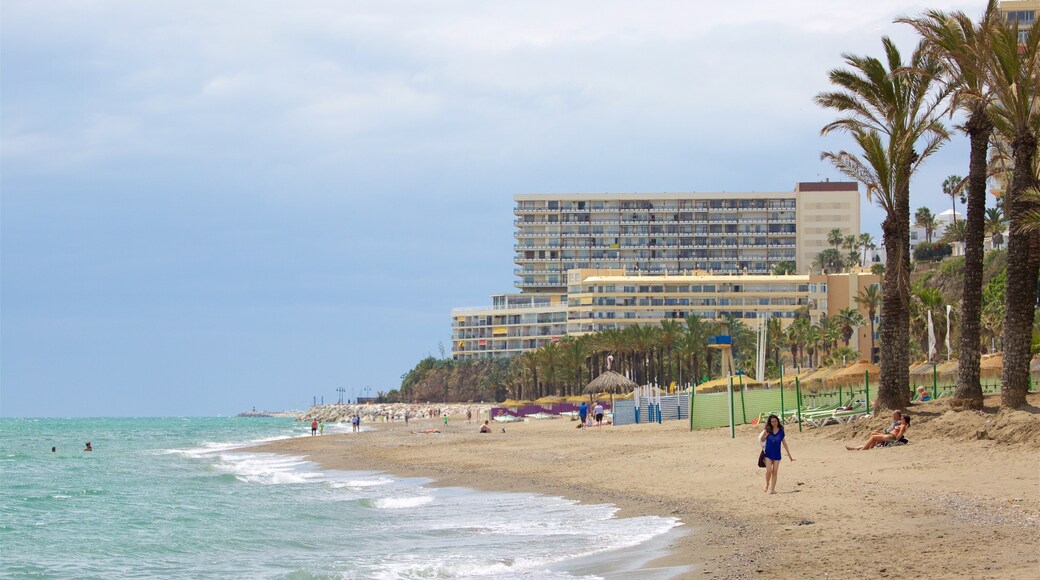 Torremolinos mettant en vedette scènes tropicales, plage de sable et ville côtière