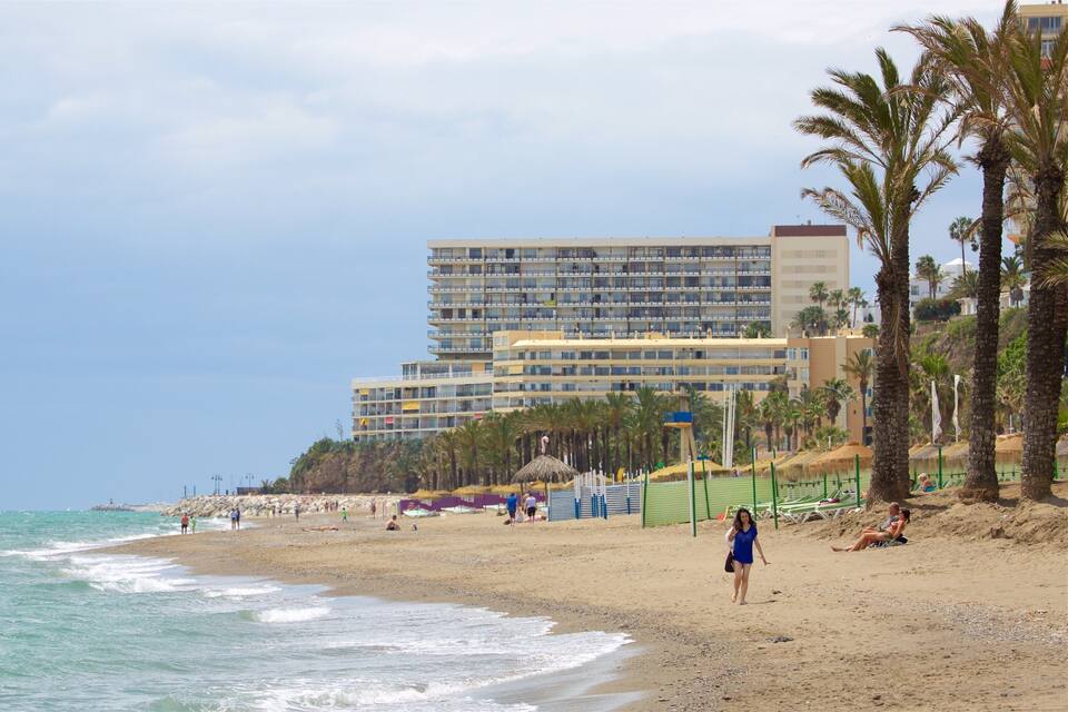 Une plage bordée de palmiers, un hôtel et l’océan.
