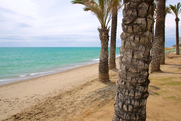 Une plage de sable avec des palmiers et une mer calme.