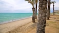 Una playa arenosa con palmeras y un mar tranquilo.