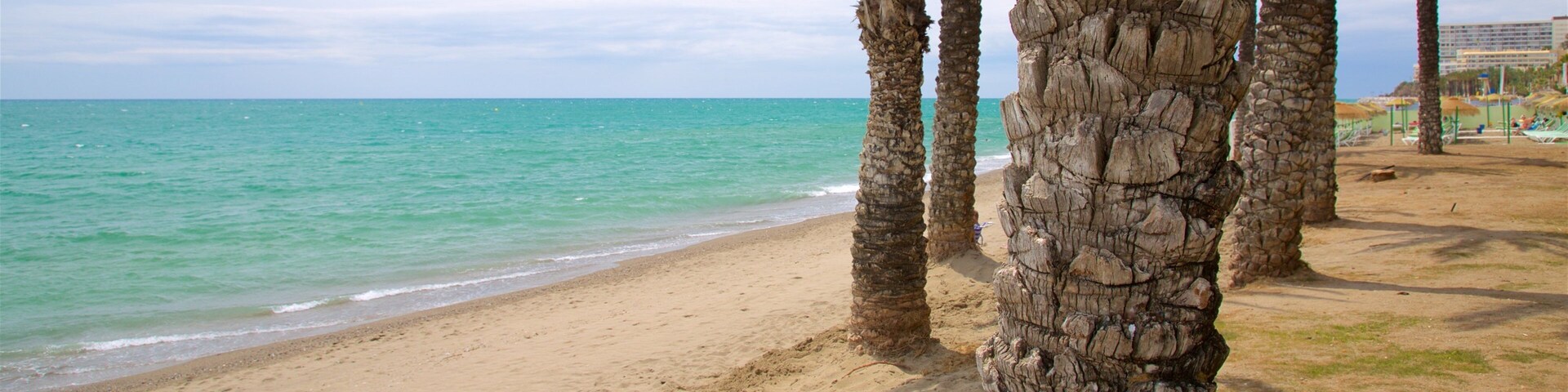 Una playa arenosa con palmeras y un mar tranquilo.
