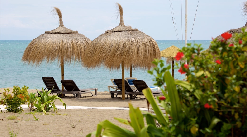 Torremolinos montrant plage et scĂšnes tropicales