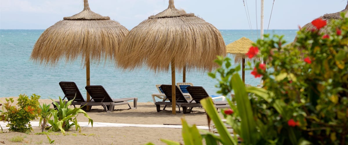 Torremolinos featuring a beach and tropical scenes