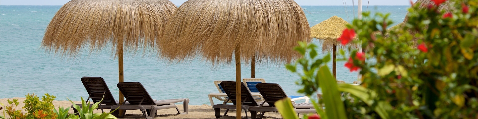 Torremolinos which includes a beach and tropical scenes