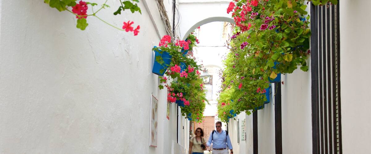 Cordoue montrant scĂšnes de rue aussi bien que couple