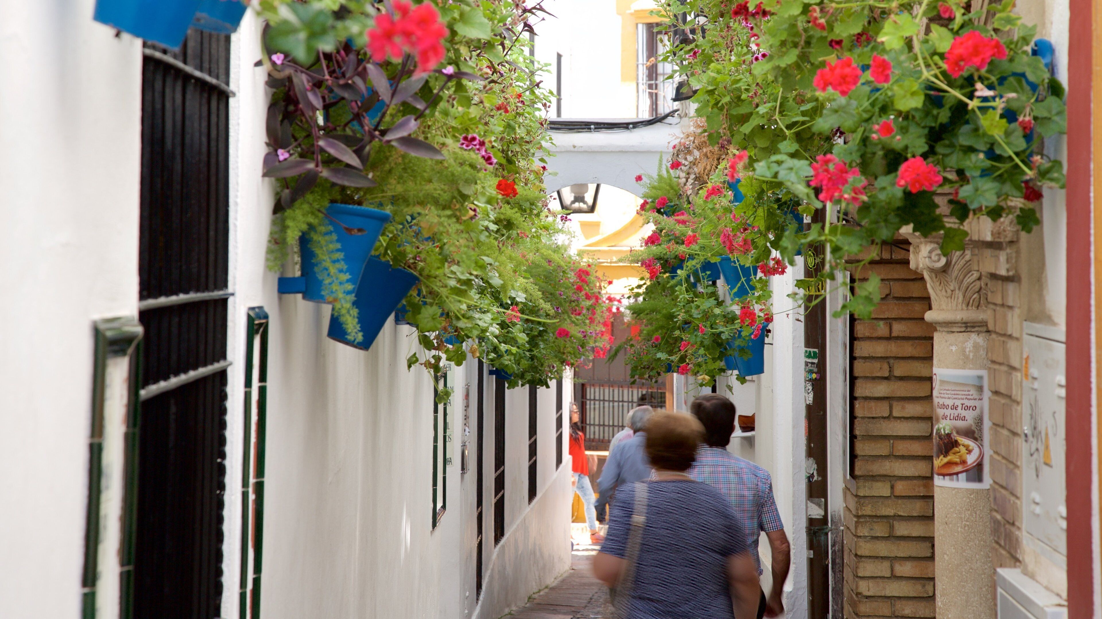 Córdoba mostrando escenas urbanas y también un pequeño grupo de personas