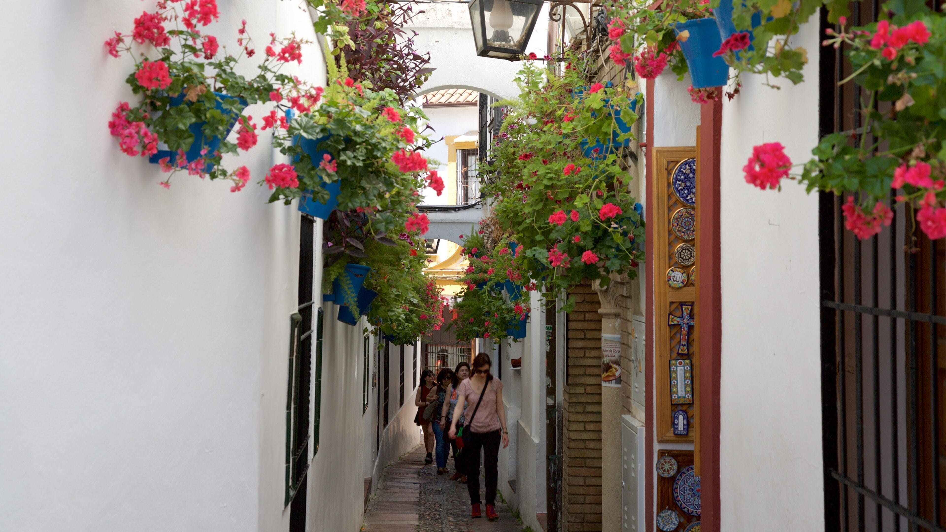 Calleja de las Flores mostrando flores y también un grupo pequeño de personas