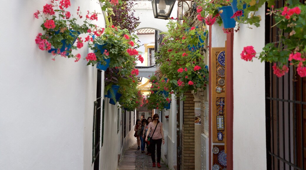 Calleja de las Flores mostrando flores y también un grupo pequeño de personas