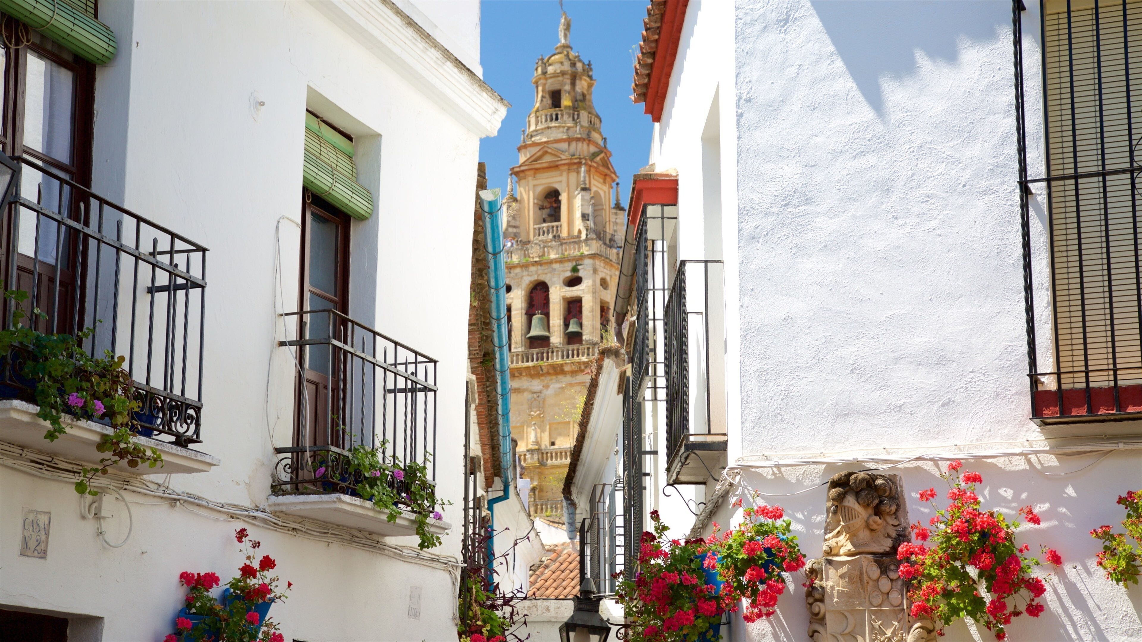 Calleja de las Flores which includes a small town or village