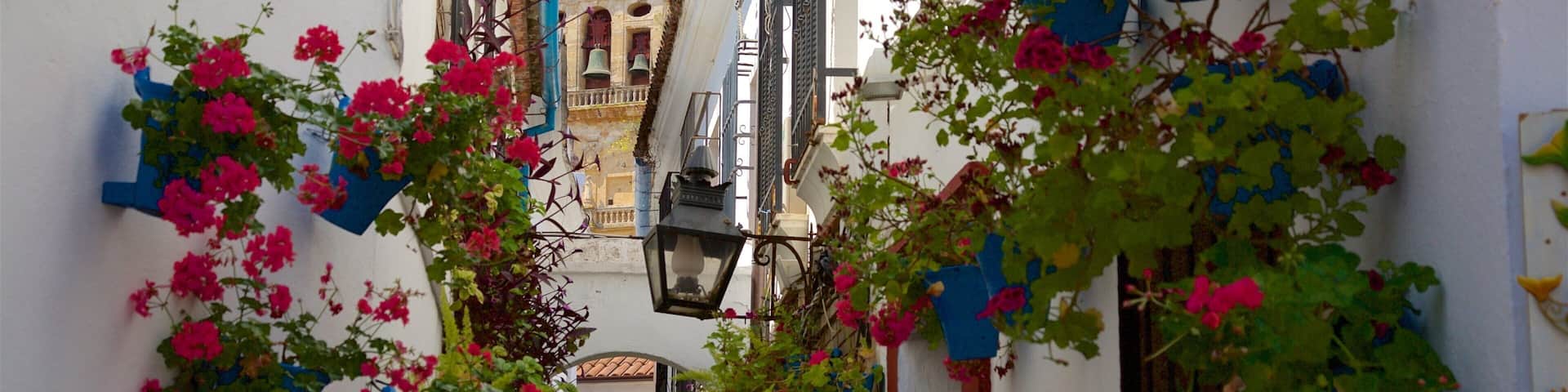 A narrow street with vibrant pink flowers, a traditional lantern, and a historic church tower in the background.