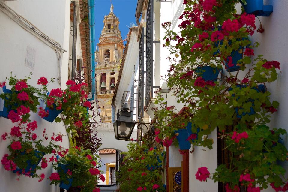 Un carrer estret amb flors rosa vibrants, un llum tradicional i una torre d'església històrica al fons.