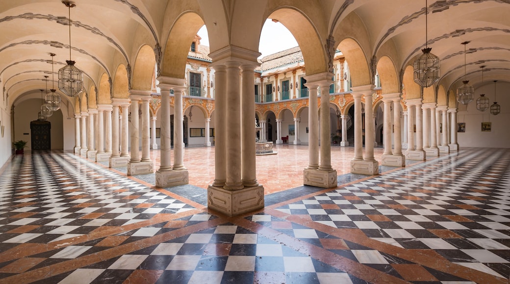 Palacio de la Merced featuring heritage elements