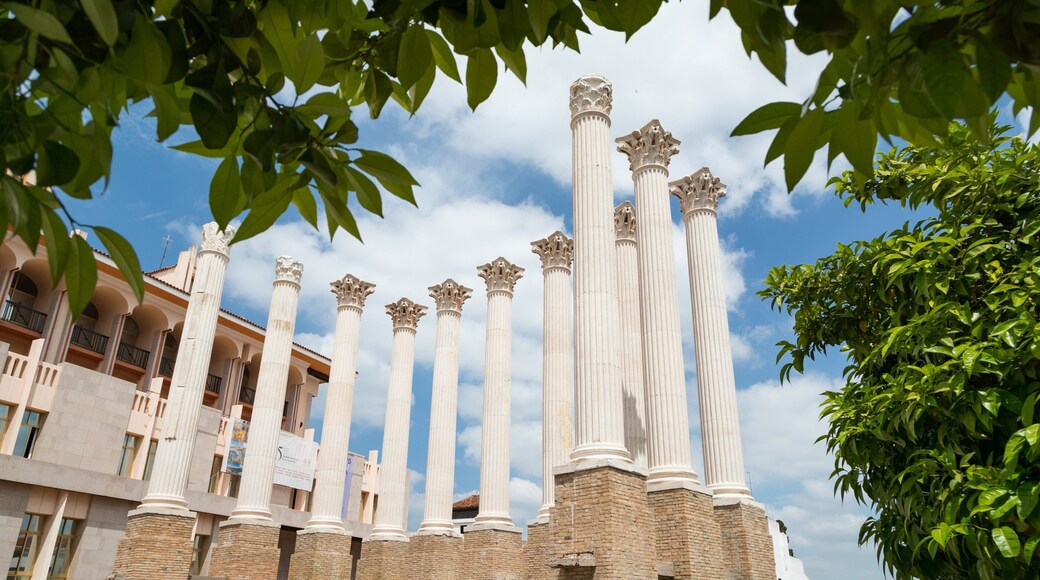 Roman Temple showing heritage elements, a monument and building ruins