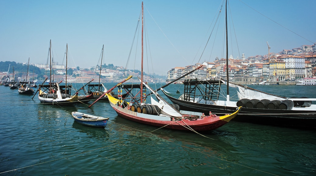 Rabelo boats on douro river porto